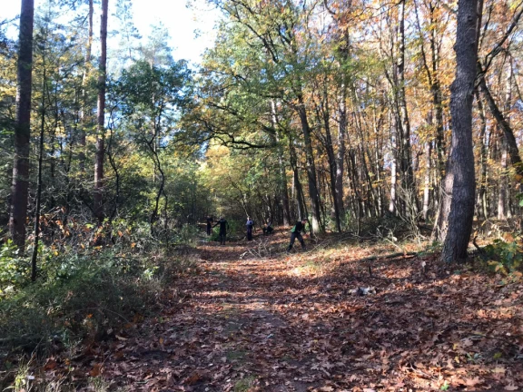 Afbeelding van de werkplek 'HartRaad'.