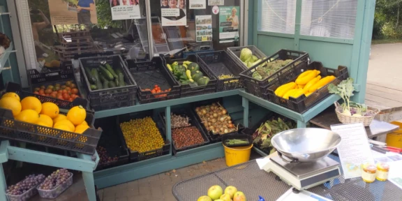 Afbeelding van de werkplek 'StadsAkkers - Winkeltje'.